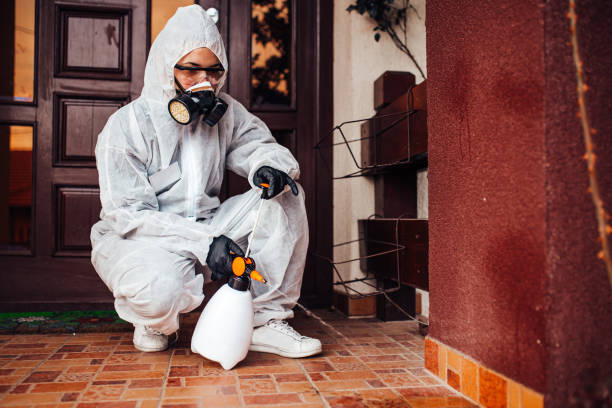 Reliable Bed Bug Control contractor in Estes Park, CO by Nex Pest Control